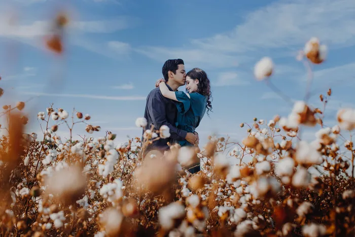A couple kissing in a filed